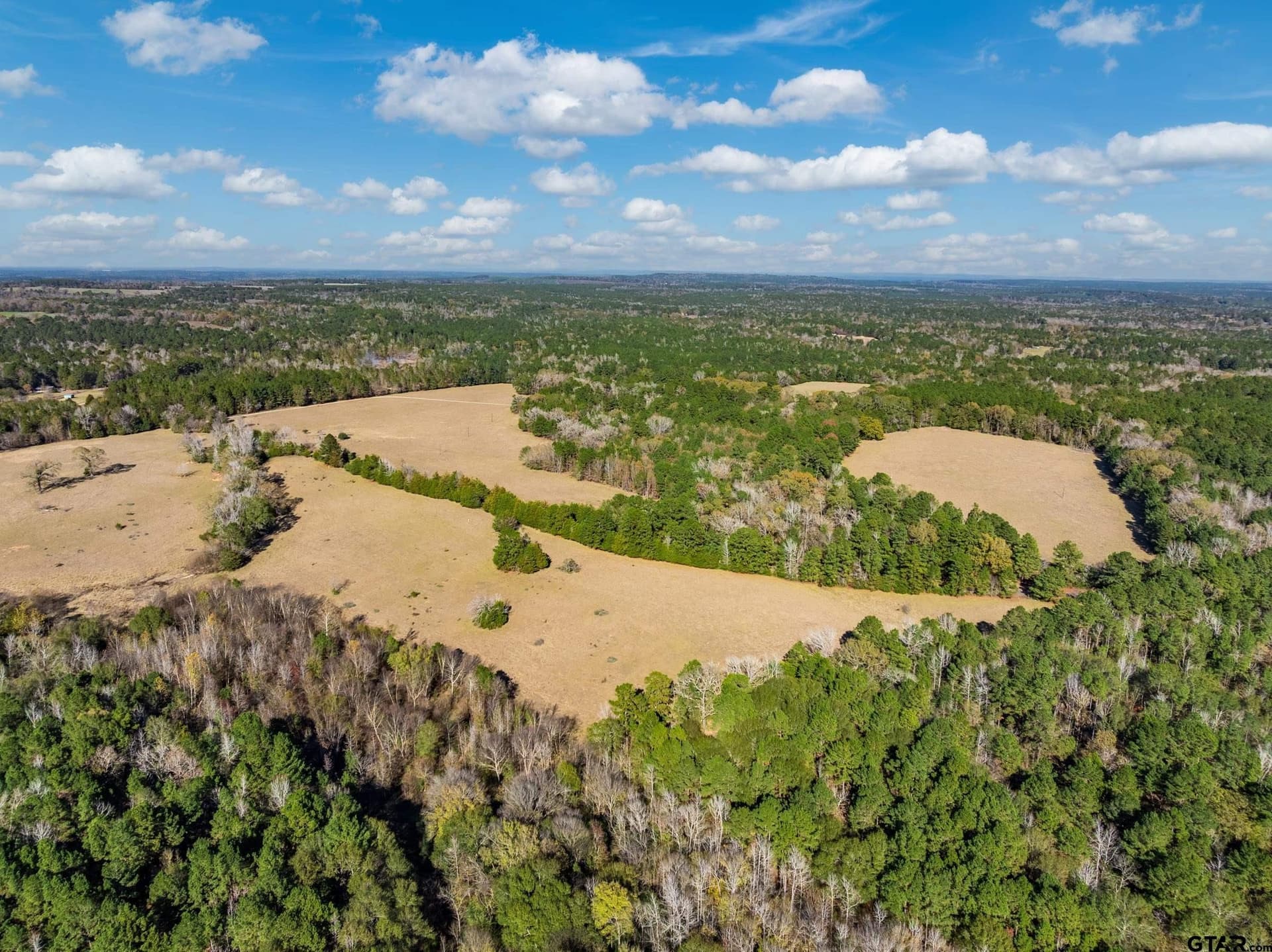 38 acres in Anderson County - photo 14