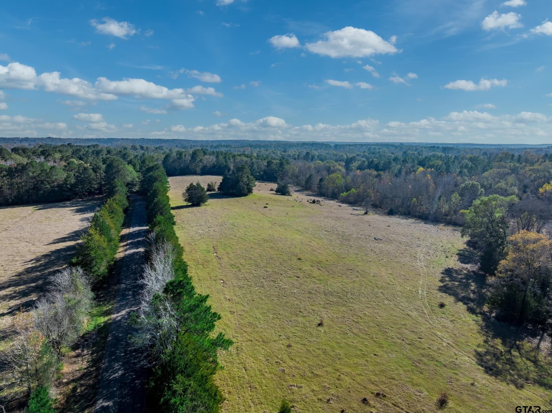 38 acres in Anderson County - photo 7