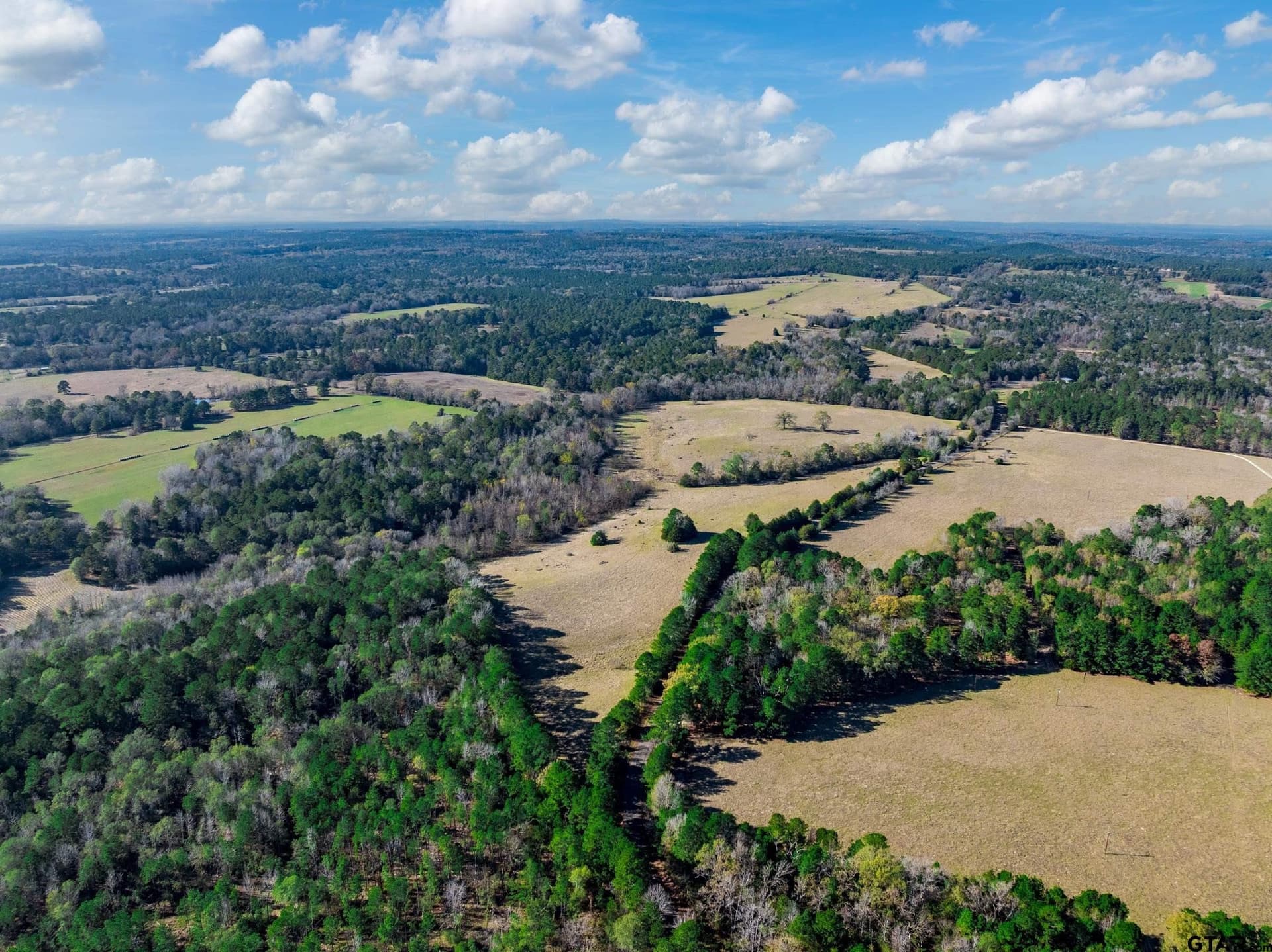 38 acres in Anderson County - photo 12