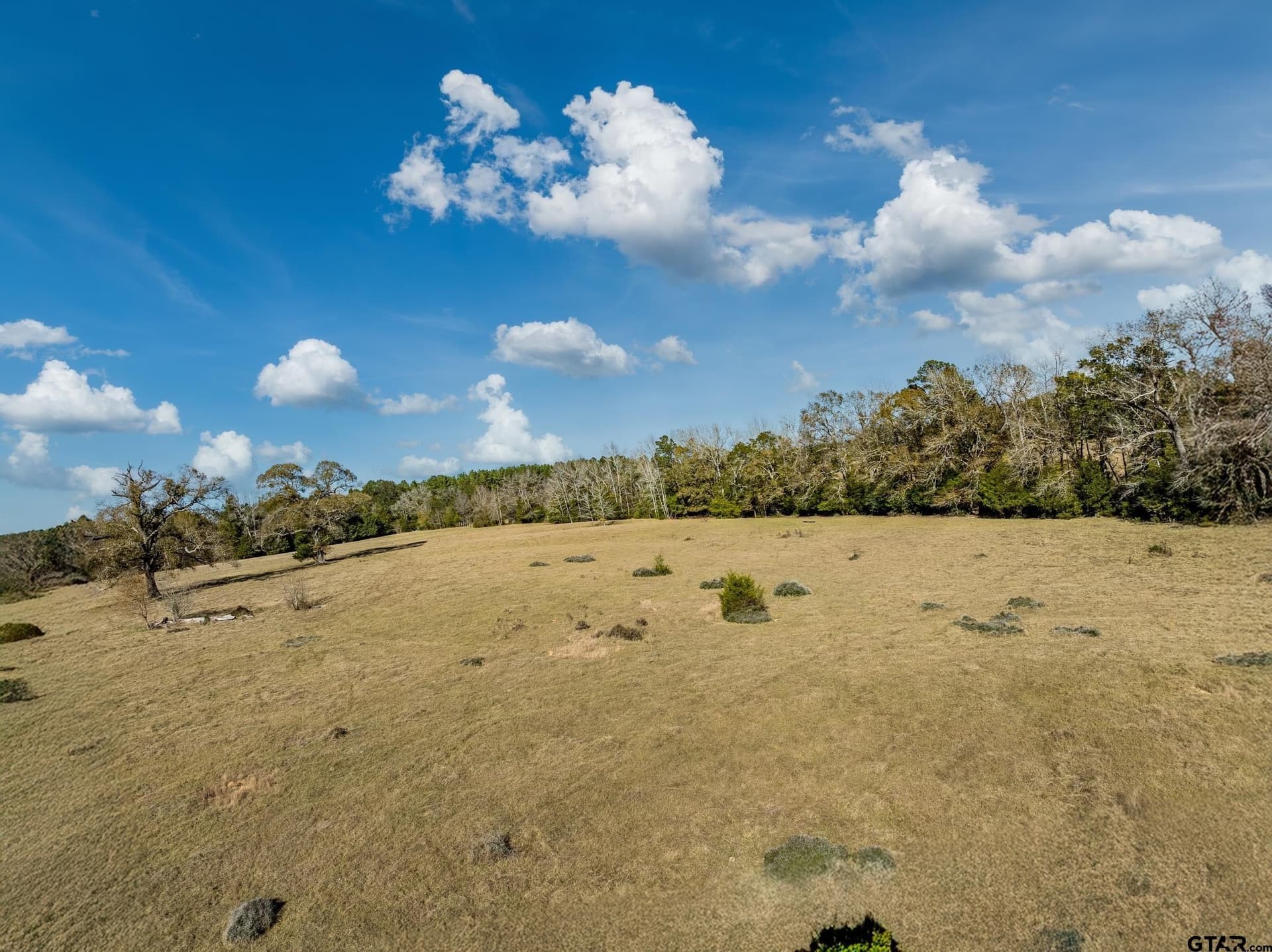 38 acres in Anderson County - photo 6