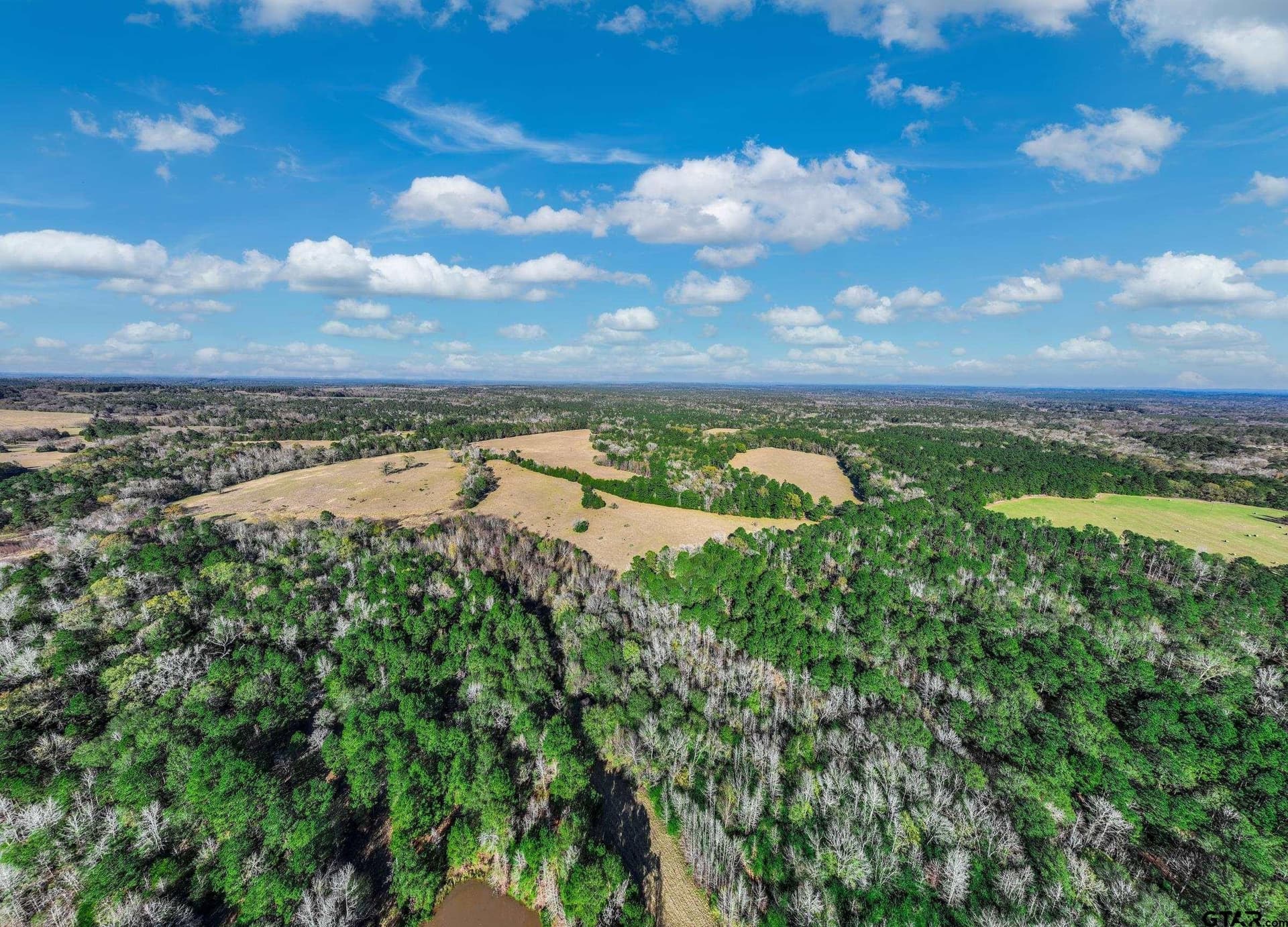38 acres in Anderson County - photo 15