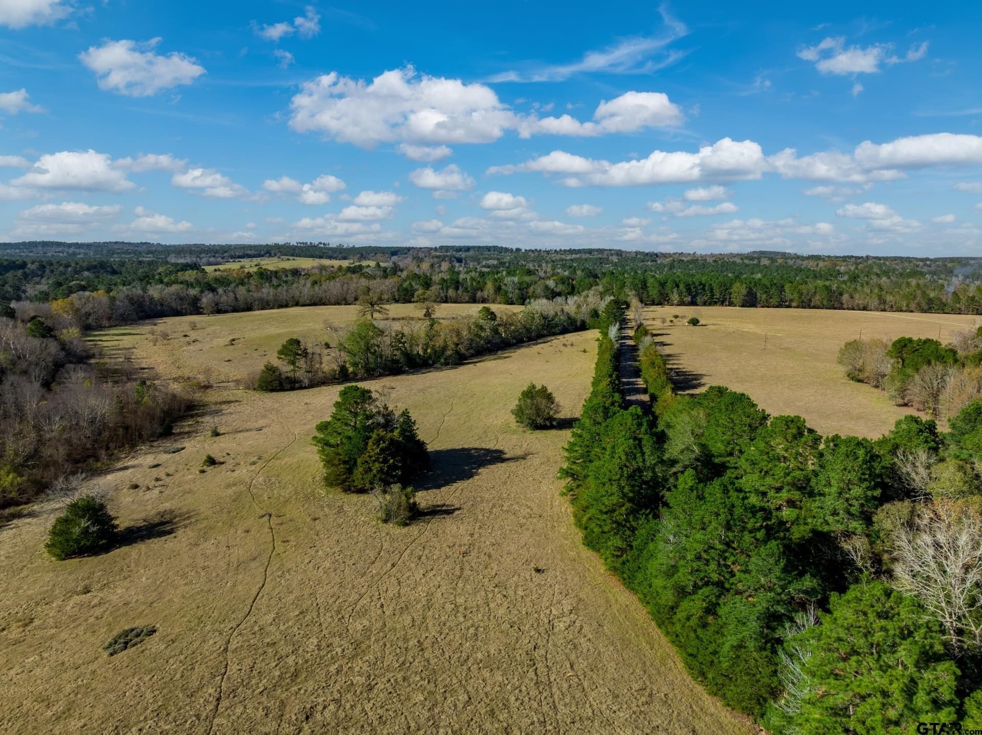 38 acres in Anderson County - photo 8