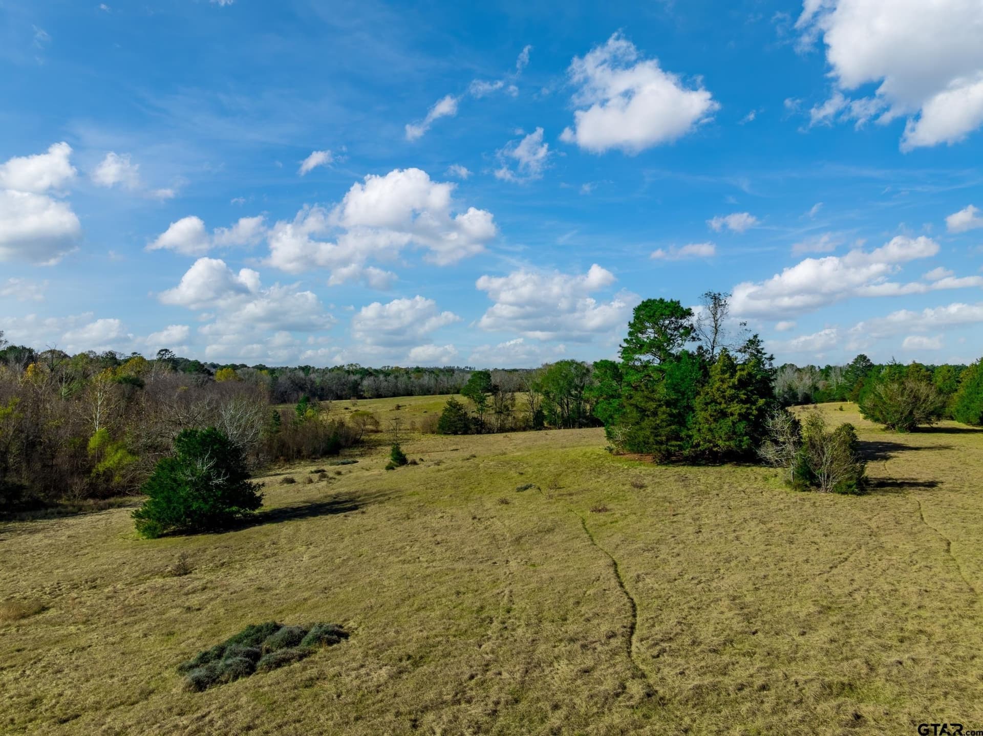 38 acres in Anderson County - photo 9