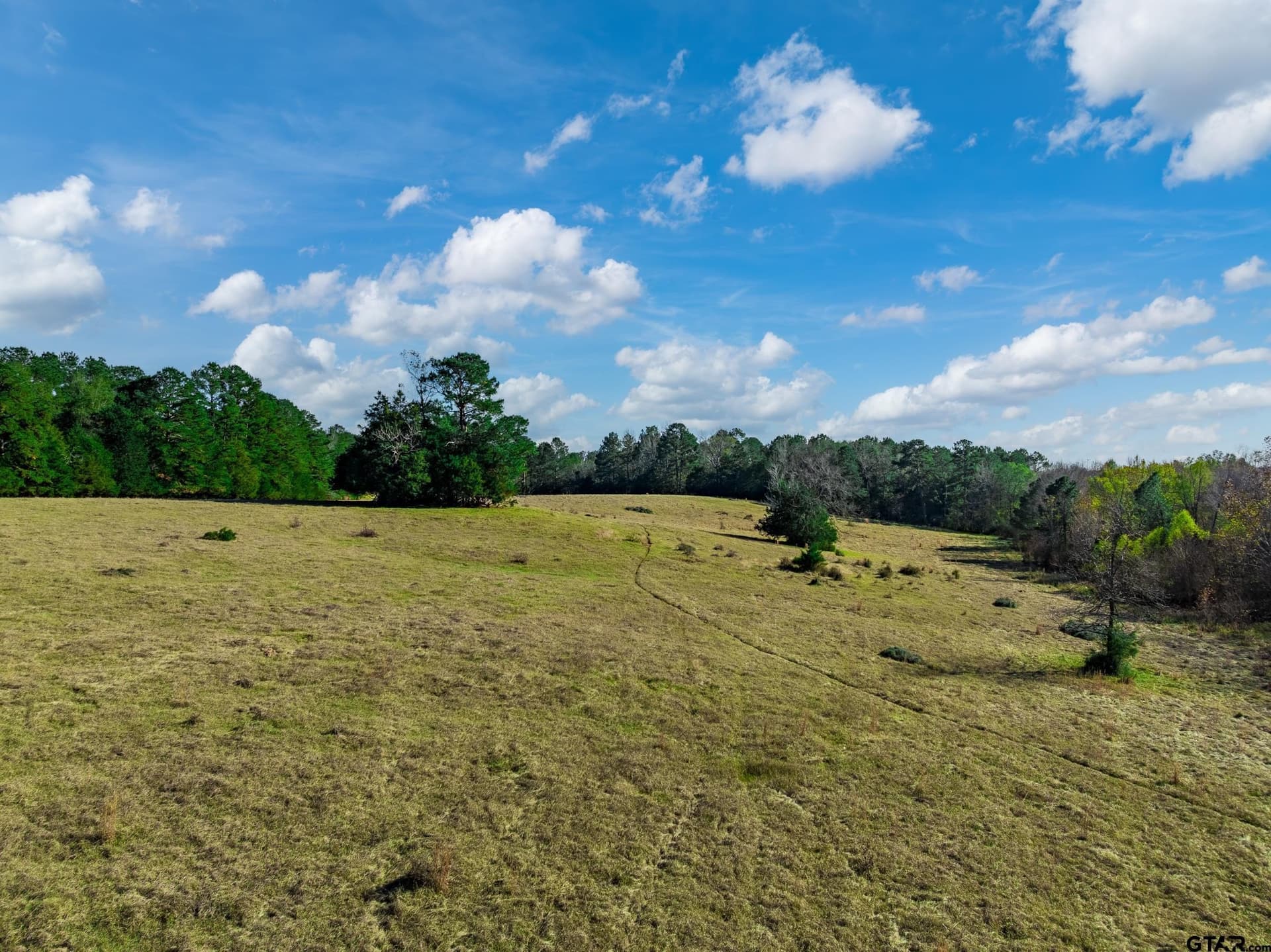 38 acres in Anderson County - photo 5