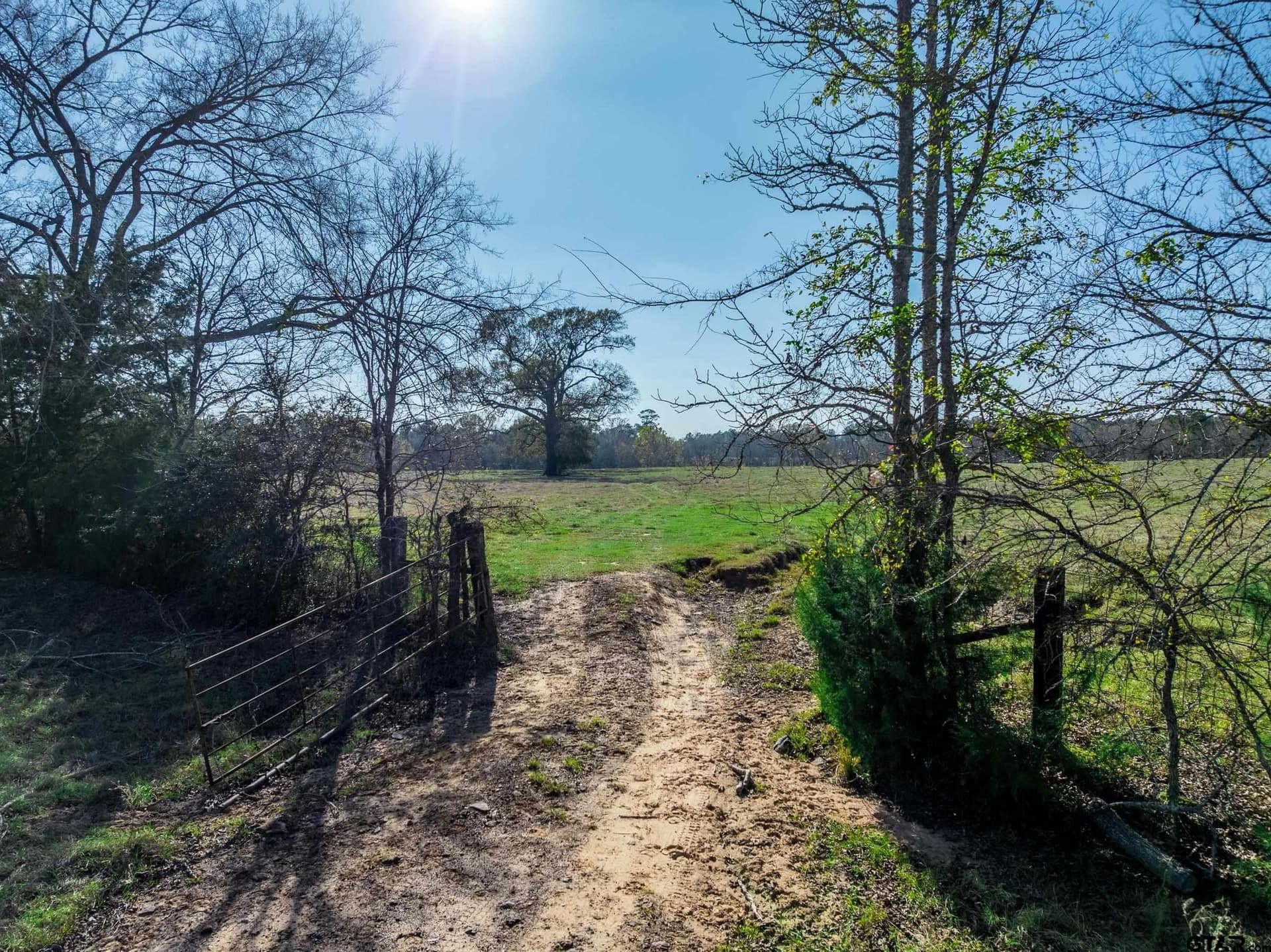 38 acres in Anderson County - photo 3