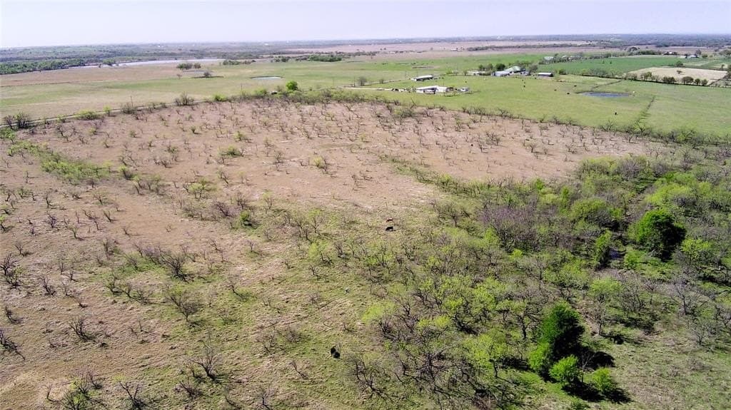 195 acres in Limestone County - photo 3