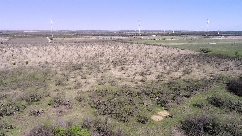 195 acres in Limestone County - photo 4