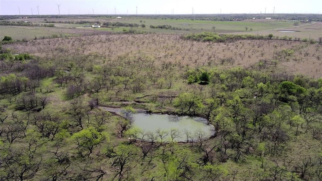 195 acres in Limestone County - photo 10