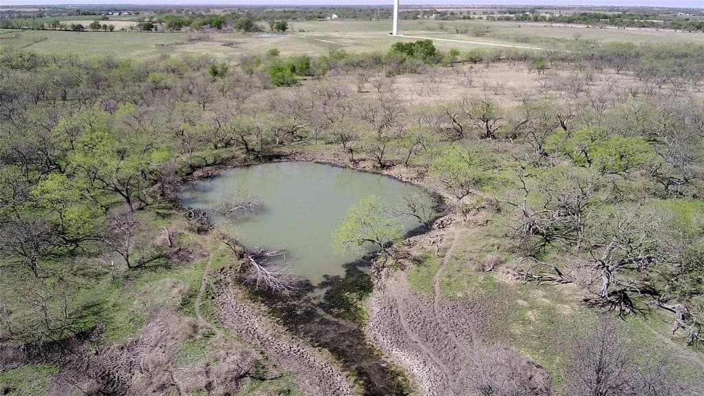195 acres in Limestone County - photo 16