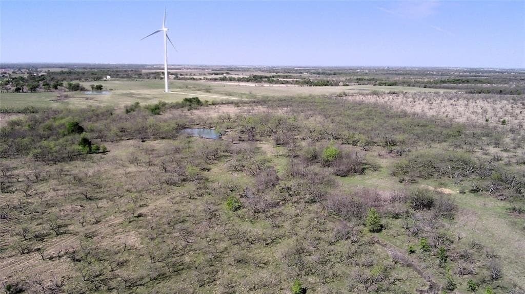 195 acres in Limestone County - photo 8