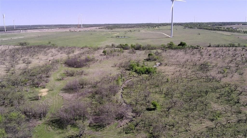 195 acres in Limestone County - photo 11