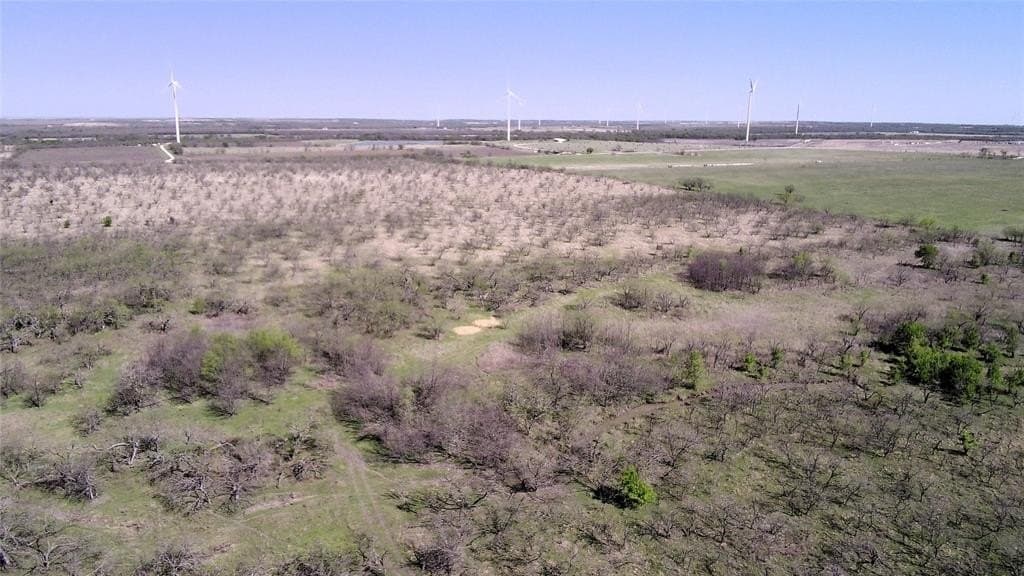 195 acres in Limestone County - photo 5