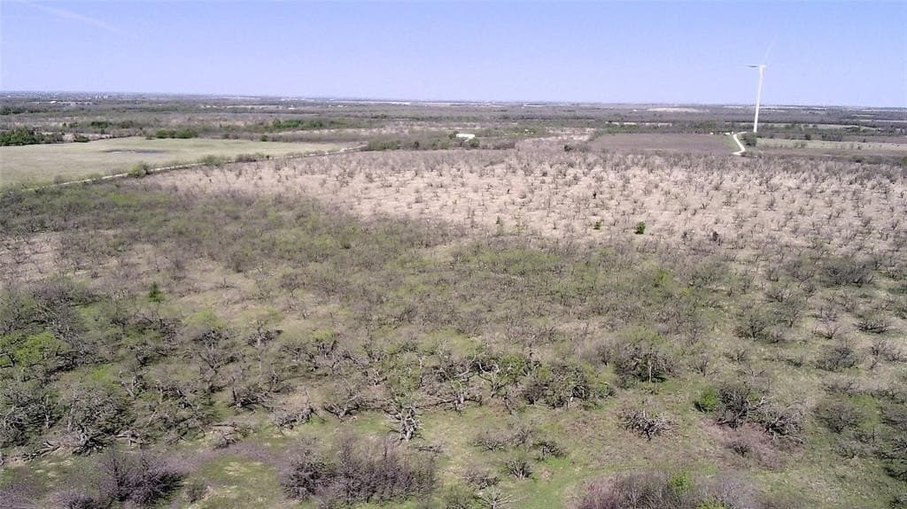 195 acres in Limestone County - photo 6