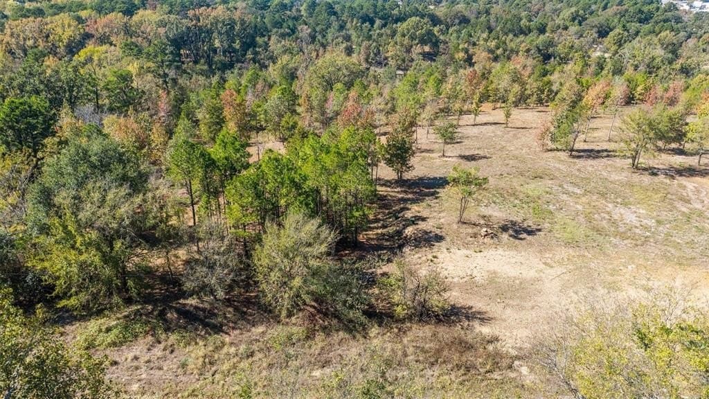 0.61 acres in Smith County - photo 5
