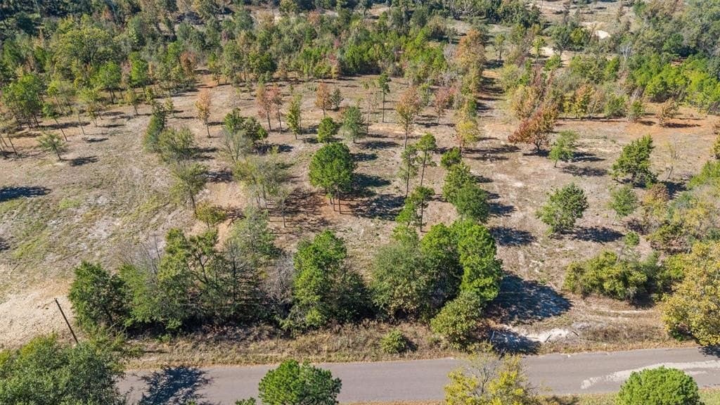 0.61 acres in Smith County - photo 8