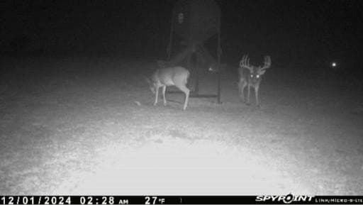 20.7 acres in Grayson County - photo 11