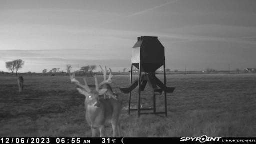 20.7 acres in Grayson County - photo 10