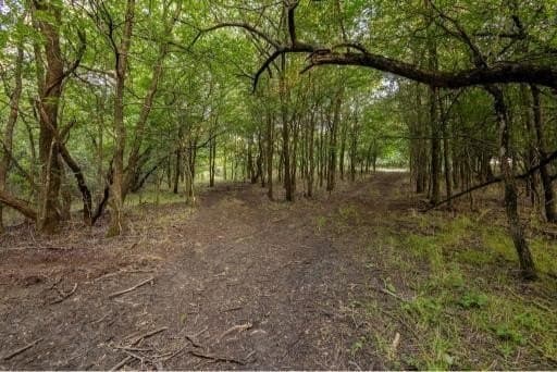 20.7 acres in Grayson County - photo 36