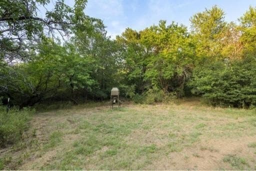 20.7 acres in Grayson County - photo 35