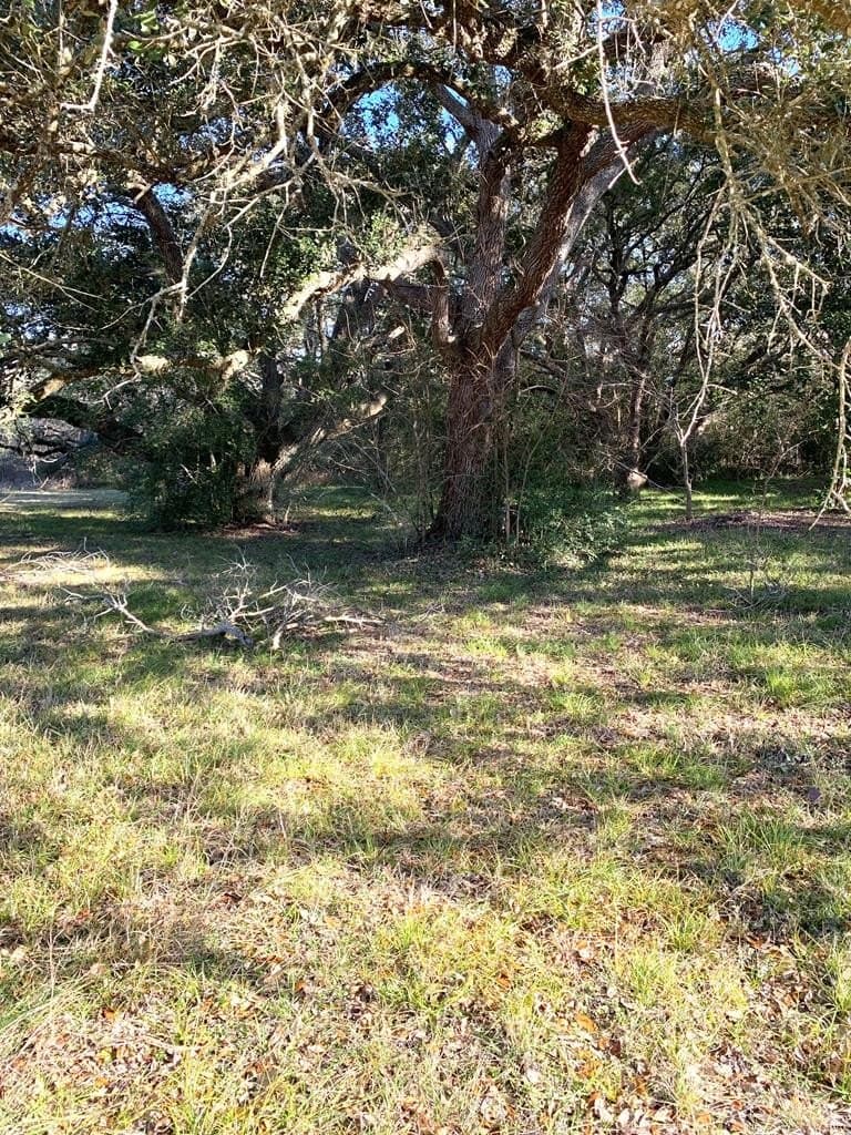 0.11 acres in Texas County - photo 2