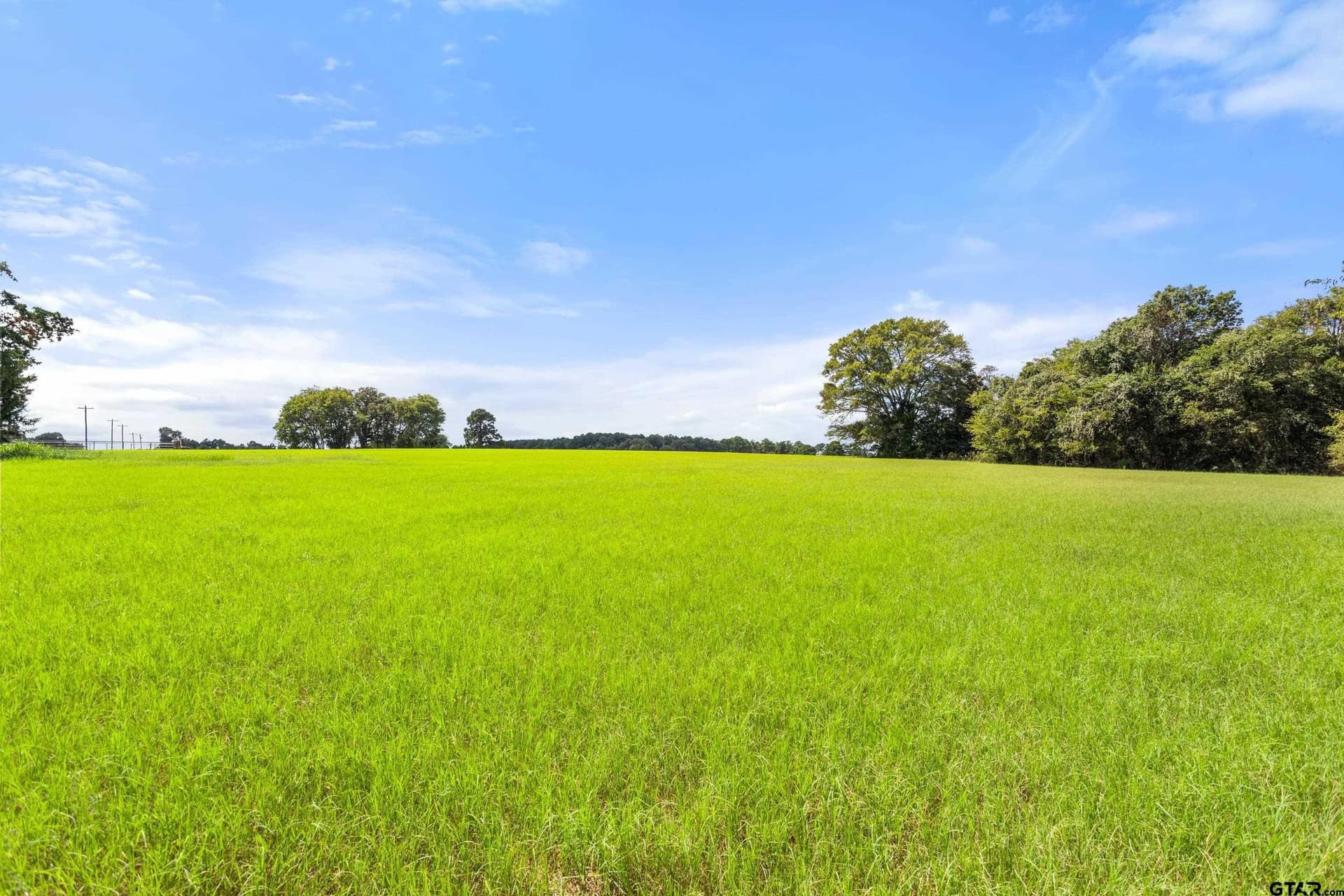 72 acres in Cherokee County - photo 12