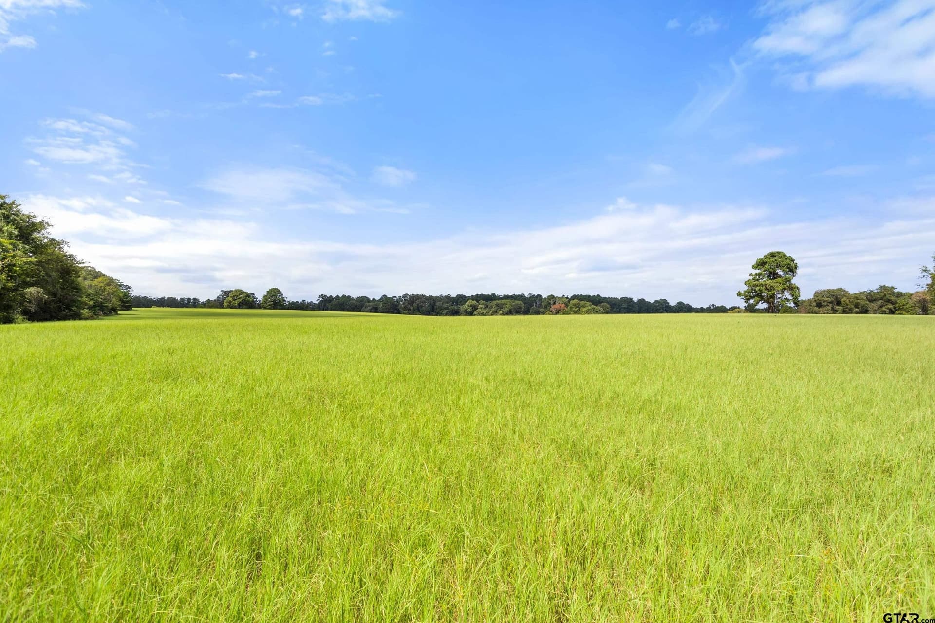 72 acres in Cherokee County - photo 9