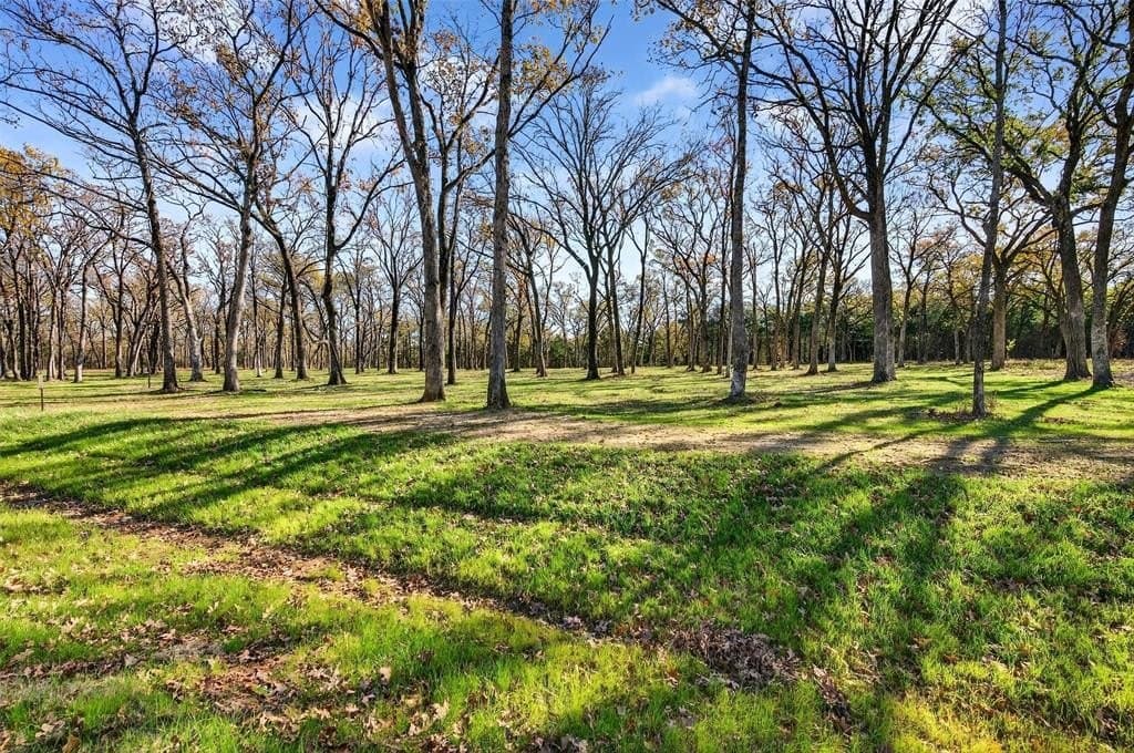 1 acres in Grayson County - photo 31