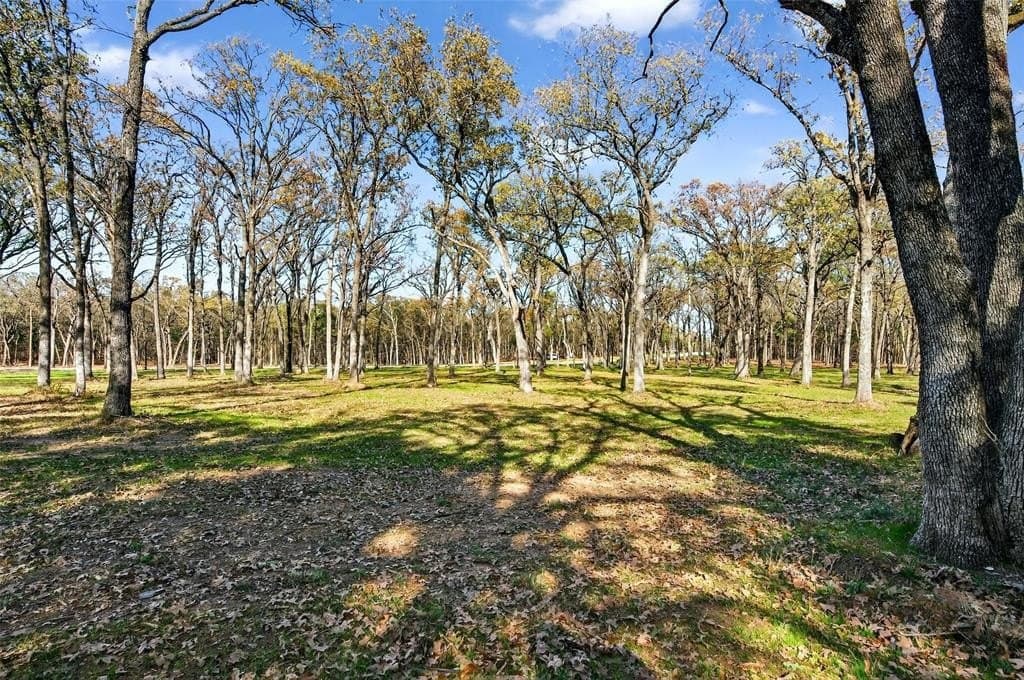 1 acres in Grayson County - photo 28