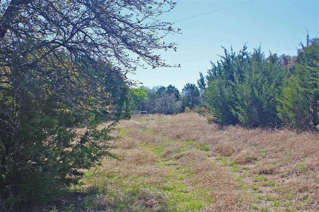 20 acres in Hood County - photo 15
