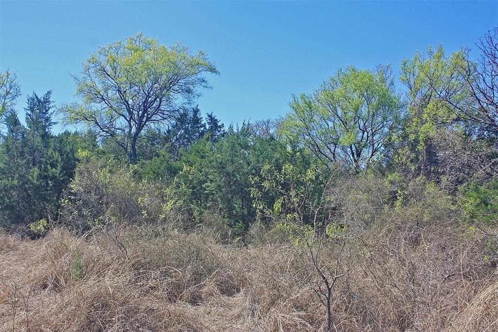 20 acres in Hood County - photo 31