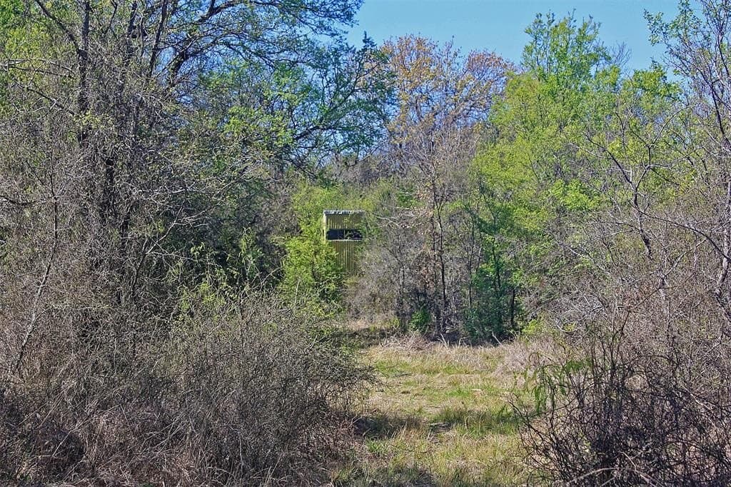 20 acres in Hood County - photo 23