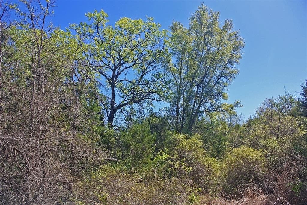 20 acres in Hood County - photo 14