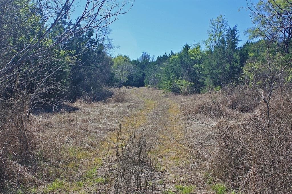 20 acres in Hood County - photo 17