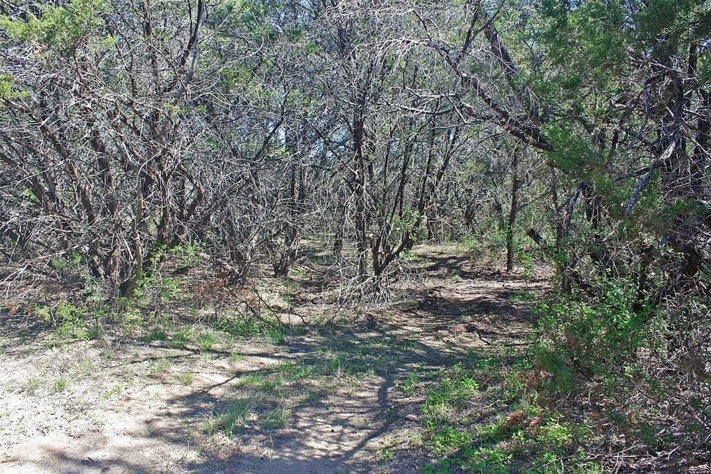20 acres in Hood County - photo 16