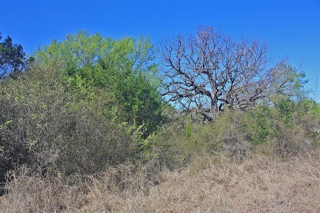 20 acres in Hood County - photo 13