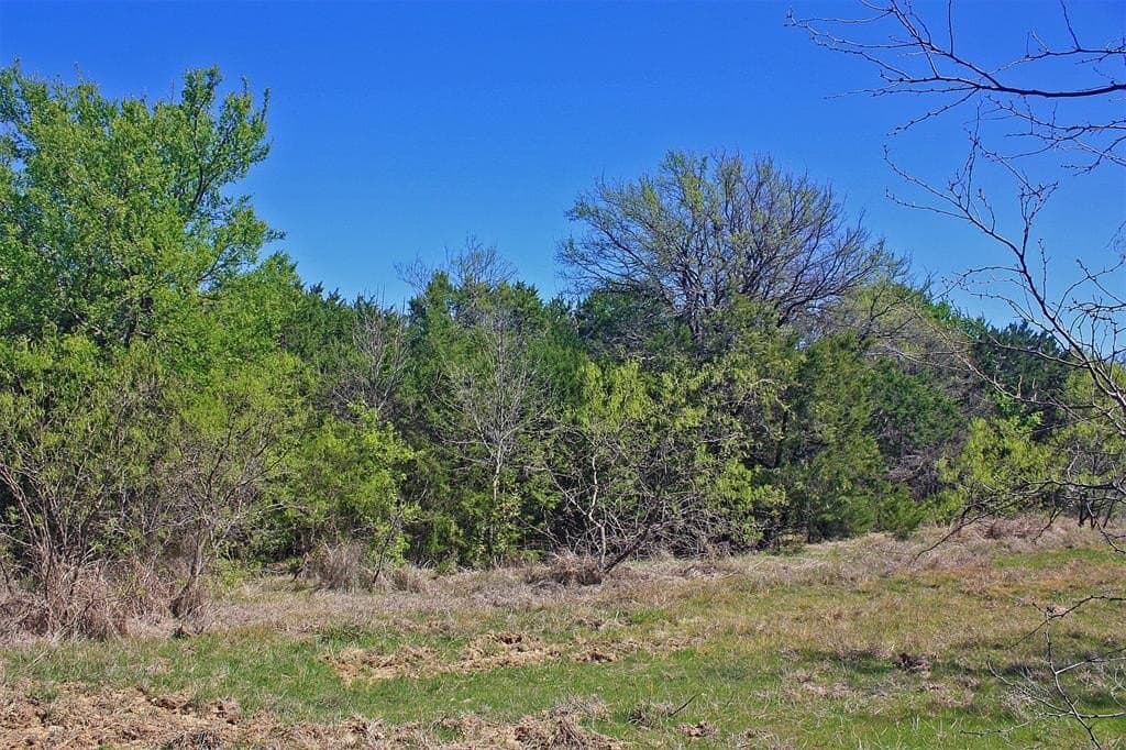 20 acres in Hood County - photo 19