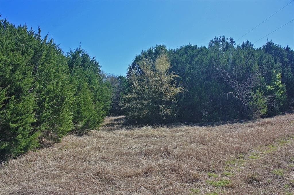 20 acres in Hood County - photo 21
