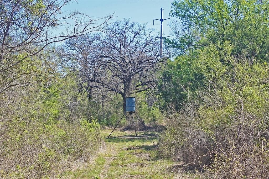 20 acres in Hood County - photo 20