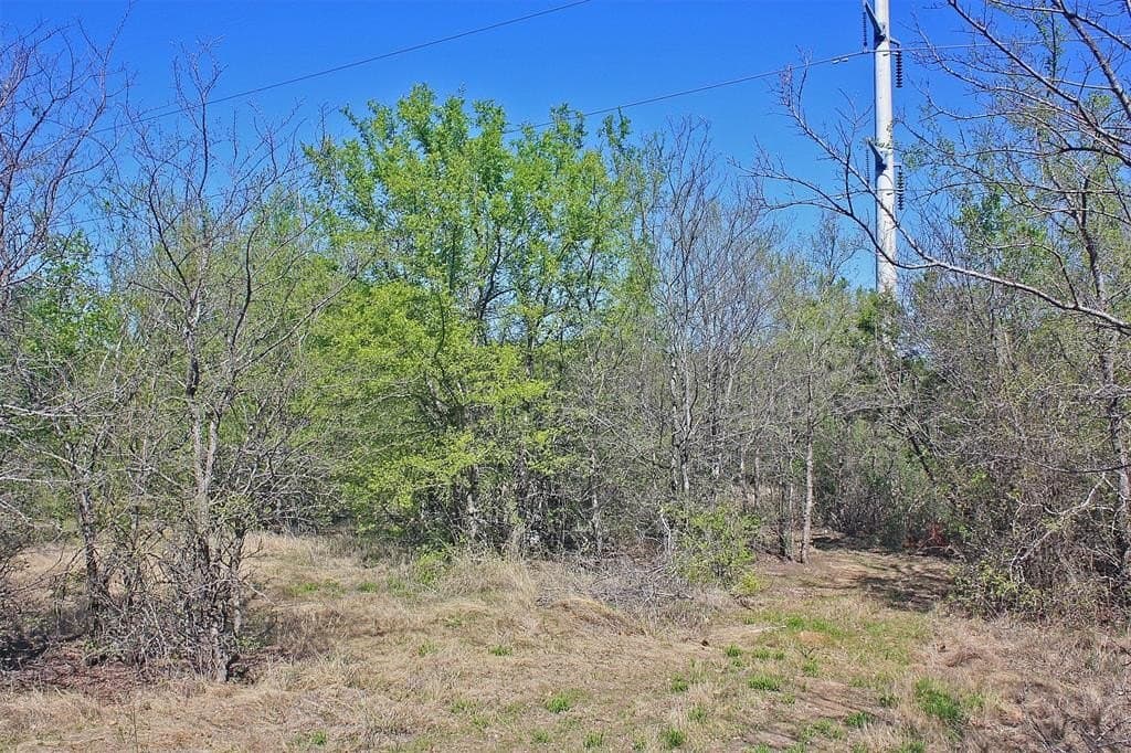 20 acres in Hood County - photo 22