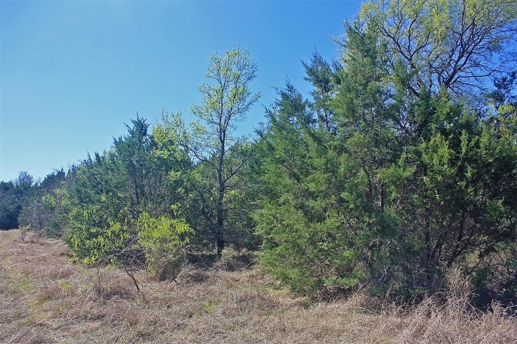 20 acres in Hood County - photo 12