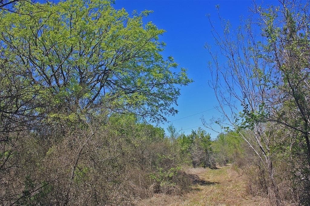 20 acres in Hood County - photo 18