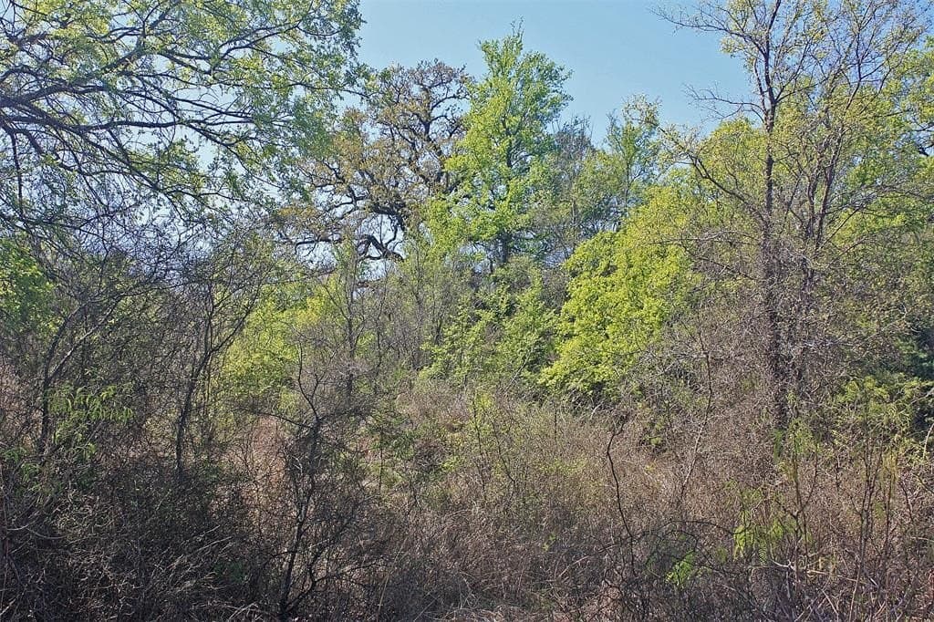 20 acres in Hood County - photo 32