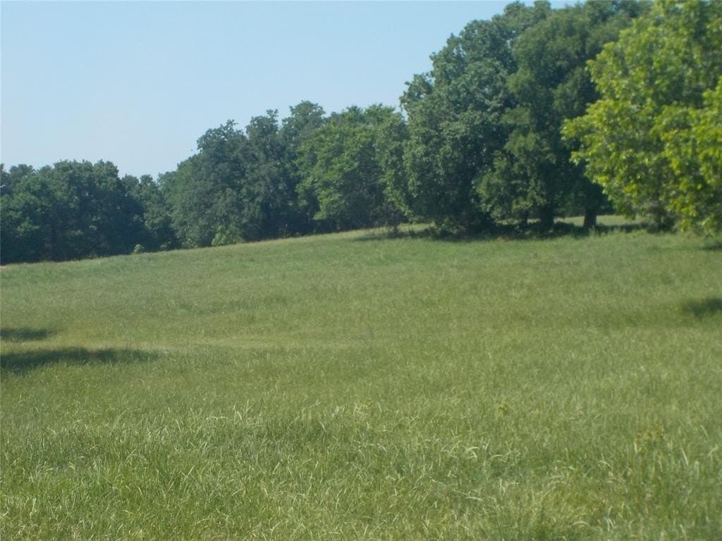 99 acres in Montague County - photo 5
