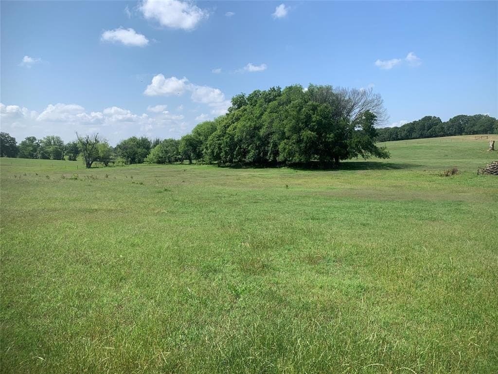 99 acres in Montague County - photo 6