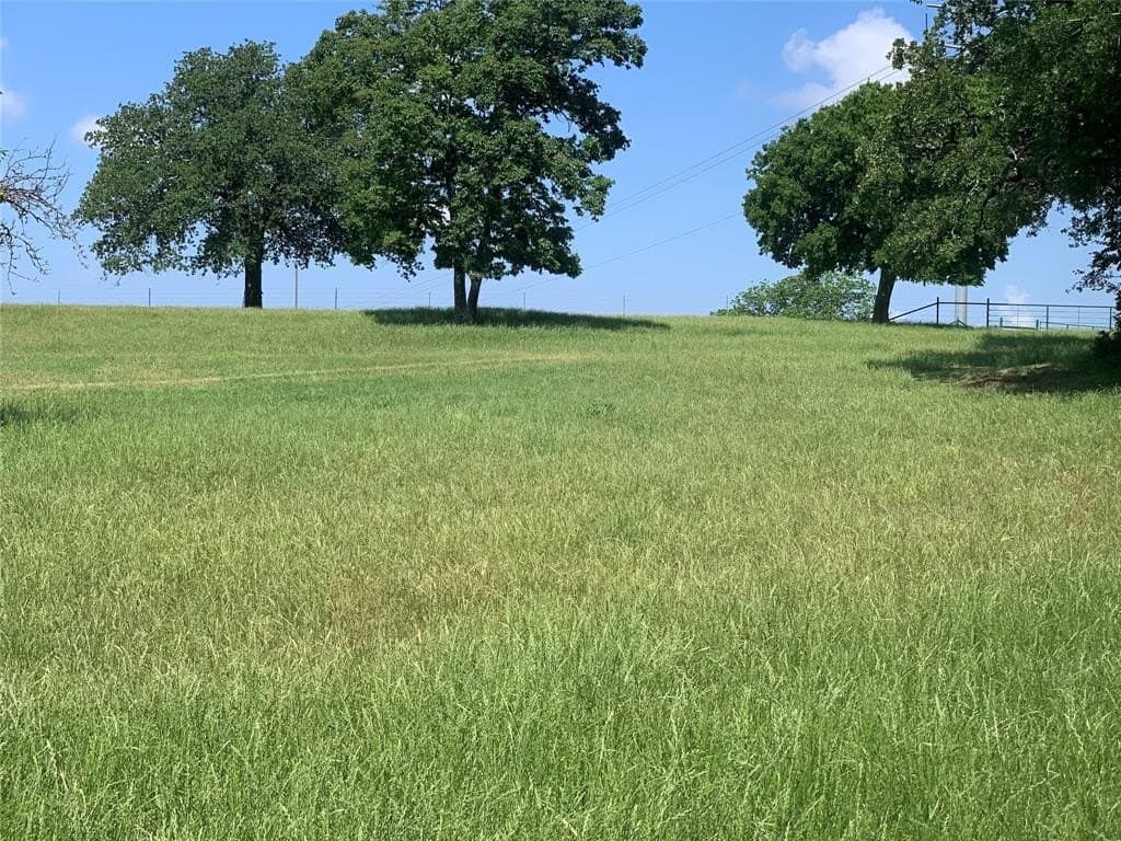 99 acres in Montague County - photo 7