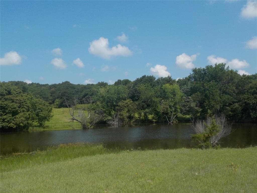 99 acres in Montague County - photo 4