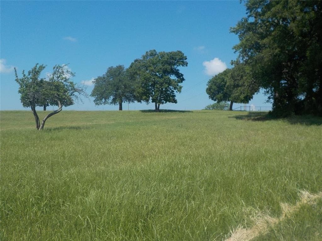 99 acres in Montague County - photo 8