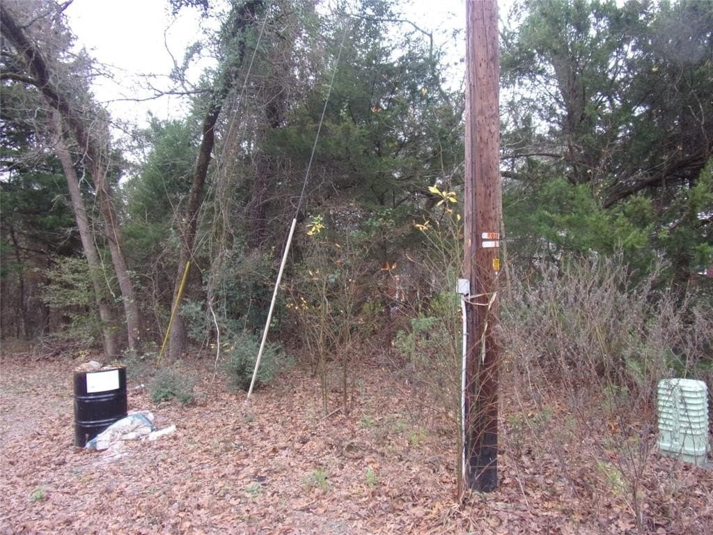 0.18 acres in Van Zandt County - photo 4