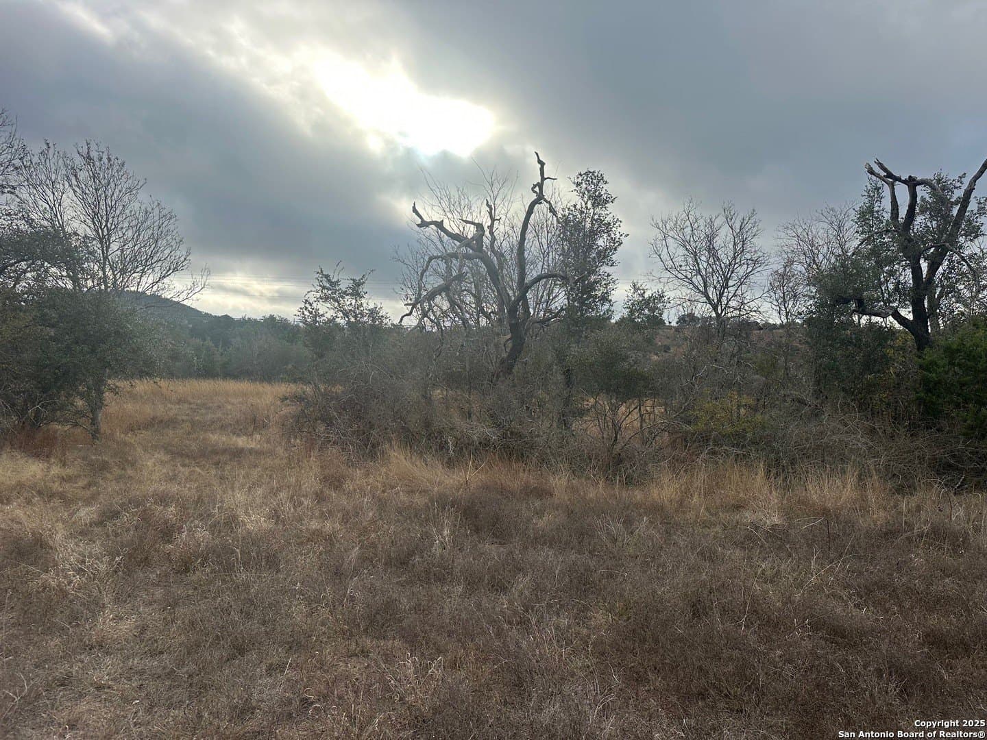 6.29 acres in Kendall County - photo 3