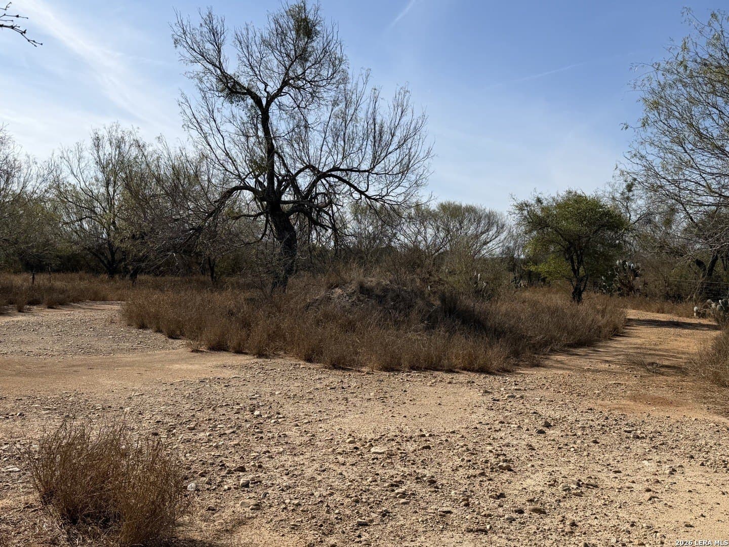 20 acres in Frio County - photo 33